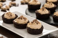 chocolate cupcakes with frosting on a white plate