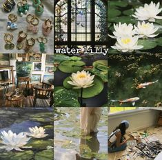 there are many different pictures with flowers and water lilies