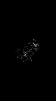 a black and white photo of flowers in the dark