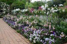 a garden filled with lots of flowers next to a brick walkway in the middle of a park