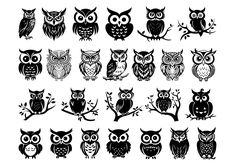 an image of many different owls in black and white