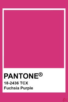 pantone's fuchsia purple color is shown