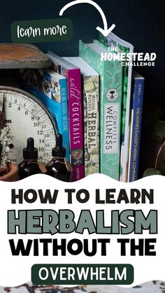 Dive into the world of herbal wisdom with our selection of the 7 Best Books on Herbalism for Beginners! 📚 These must-reads offer a comprehensive yet approachable guide to understanding and using herbs for health and wellness. Perfect for those starting their journey into herbal remedies and natural healing. These books are a treasure trove of knowledge without the overwhelm. #HerbalismBooks #BeginnerHerbalist #NaturalRemedies #HomesteadLearning #HerbalHealing #WellnessReading Learn Herbalism, Herbalism For Beginners, African Herbs, Apothecary Decor