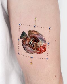 a fish is shown on the side of a woman's thigh with dots and lines