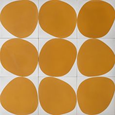 eight orange circles arranged on a white tile background, each in different sizes and shapes