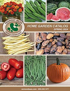 various vegetables and fruits are featured in this brochure for the home garden catalog