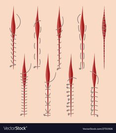 different types of spikes on pink background