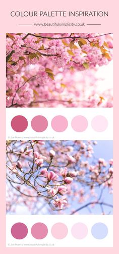 the color scheme for pink and blue is shown in three different colors, including pales,