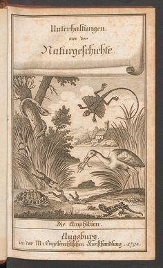 an old book with birds flying over water