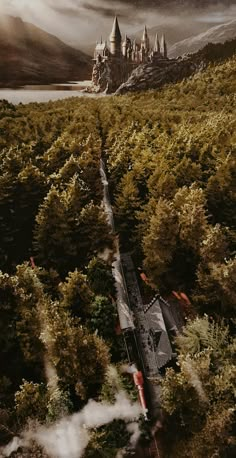 an aerial view of hogwart's castle surrounded by trees