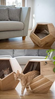 a cat in a wooden box on the floor next to a couch and coffee table