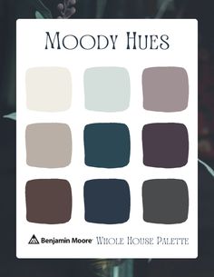 the color palette for moody hues