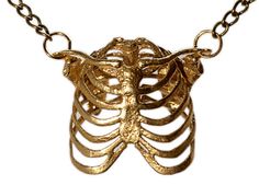 Gold-Plated Ribcage <a href="https://go.redirectingat.com?id=74679X1524629 Anatomy Jewelry, Human Rib Cage, Cage Necklace, Skeleton Anatomy, Caged Necklace, Science Jewelry, Simple Silver Jewelry, Human Bones, Bone Necklace