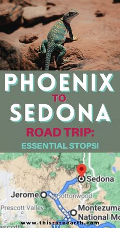 A lizard in Sedna and a map of Arizona. Drive From Phoenix To Sedona, Phoenix To Grand Canyon Road Trip, Sedona Arizona Picture Ideas, Phoenix To Sedona Road Trip, Sedona Road Trip, Phoenix Travel Guide, Arizona Waterfalls