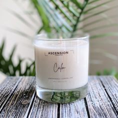 a white candle sitting on top of a wooden table next to a potted plant