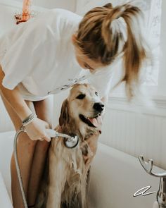 a woman brushing her dog's teeth in the bathtub while wearing a white dress