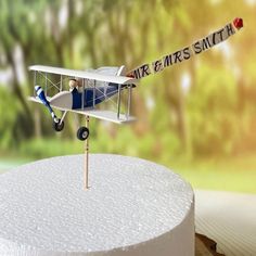 a small model airplane on top of a white cake with the name mr and mrs smith