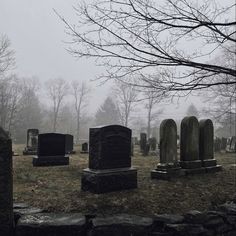 an old cemetery with many headstones and trees in the background on a foggy day