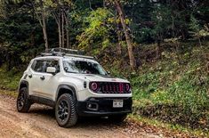 a white jeep driving down a dirt road in the woods with trees and bushes behind it