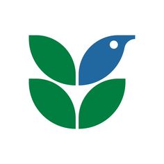 a blue bird sitting on top of a green leaf filled with water and leaves in the center