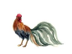 a watercolor painting of a rooster on a white background