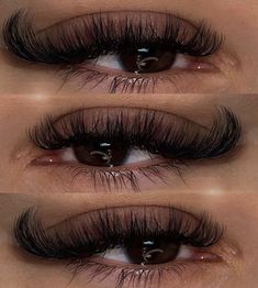 Lash Styles, Eyelash Extensions Styles, Perfect Eyelashes, Lash Extensions Styles