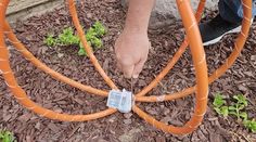 a man is holding an orange hose connected to a plant