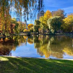 a lake surrounded by trees and grass in a park with tall buildings on the other side