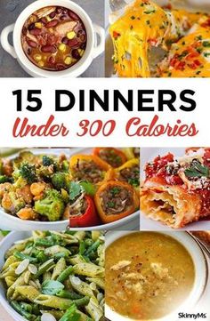 15 dinners under 300 calories