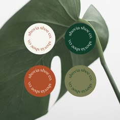 four different colored stickers on a green leaf with the words florida shore, north shore, and south shore