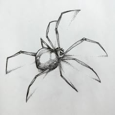 a drawing of a spider on a white paper