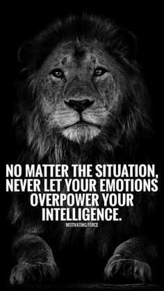 a black and white photo with a lion on it's face, saying no matter the situation never let your emotions overpoper your