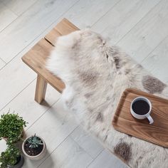 a wooden bench with a cup of coffee on it next to a potted plant