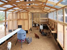 a woman standing in a chicken coop next to chickens