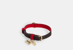 a red leather dog collar with a gold plated charm on the front and side