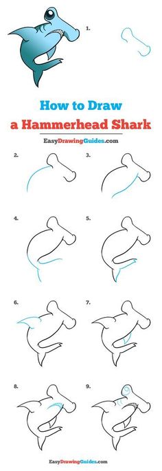 how to draw a hammerhead shark with easy step by step instructions for kids and adults