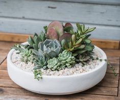 a white planter filled with lots of succulents on top of a wooden table