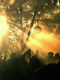 the sun is shining through the trees and people are holding their hands up