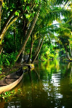 there is a boat that is in the water near some trees and plants on the shore