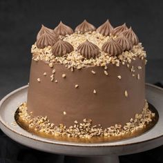 there is a chocolate cake with nuts on top