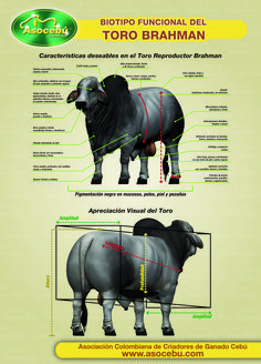 the diagram shows different types of animals and their features in each animal's body