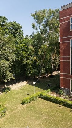 an aerial view of a lawn and trees