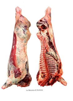 two pieces of meat sitting side by side on top of each other in front of a white background