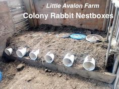 the little avlon farm's colony rabbit nest boxes are ready to be dug