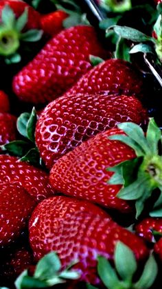 a close up view of strawberries with green leaves