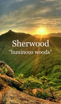 the words sherwood luminous woods are in front of a mountain