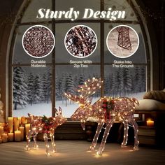 lighted reindeer in front of an arched window