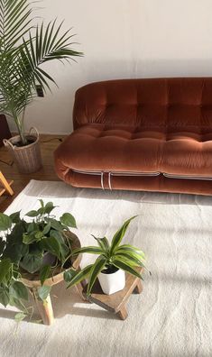 a living room with two plants on the floor and a couch in the corner next to it