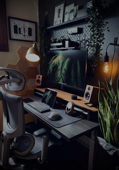 a computer desk with a monitor, keyboard and mouse on it in front of a plant