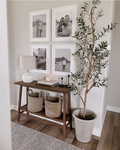 an instagram page with pictures on the wall and a potted tree in front of it